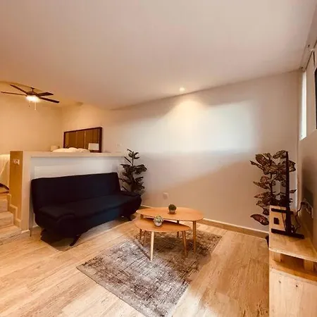 Gran Estudio A Unas Cuadras De La Playa